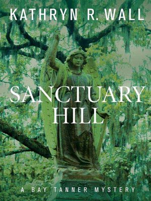 cover image of Sanctuary Hill